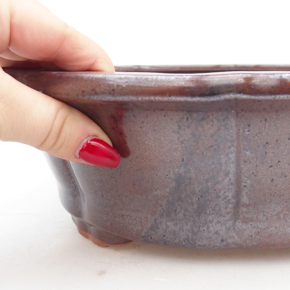 Ciotola per bonsai in ceramica 26,5 x 26,5 x 8,5 cm, marrone