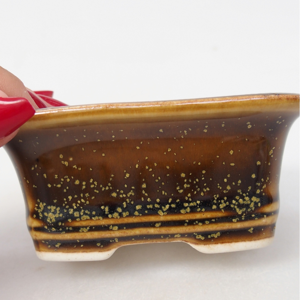 Mini bonsai 10 x 7,5 x 4 cm, giallo