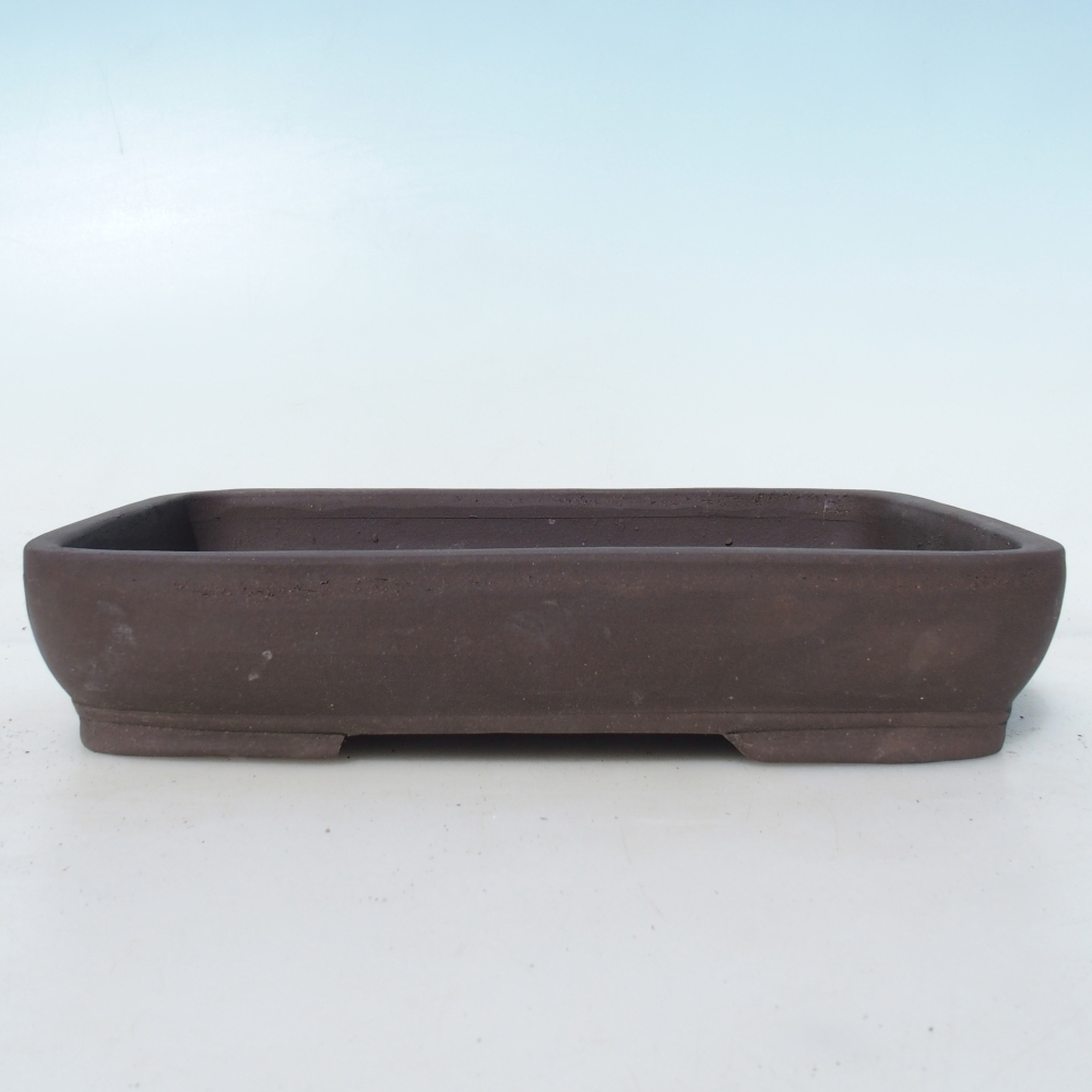 Ciotola bonsai 25,5 x 17,5 x 5 cm betulla marrone