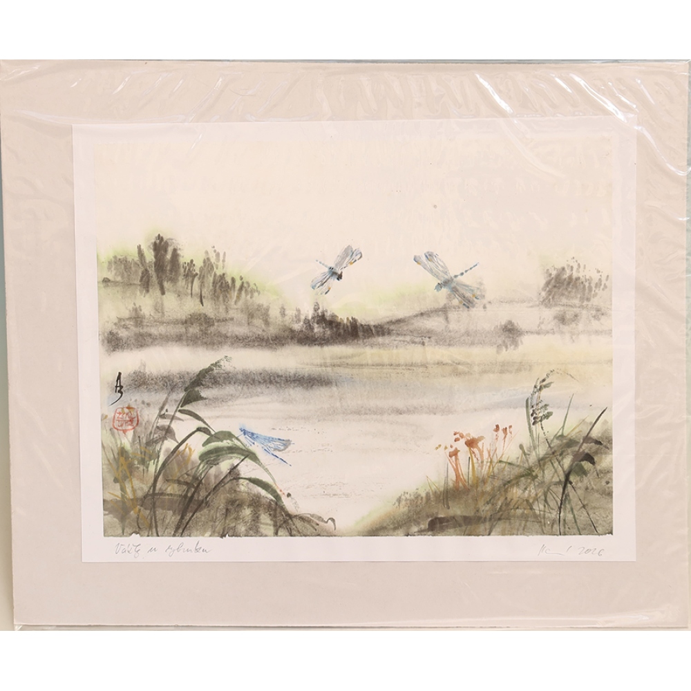 Calligrafia - Libellule presso lo stagno