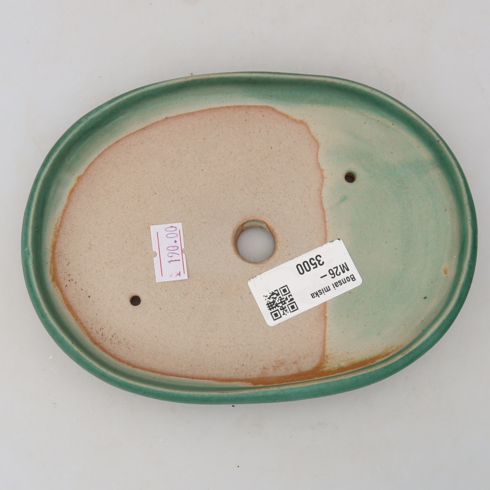 Vaso da bonsai in ceramica 17 x 12 x 2,5 cm, colore verde