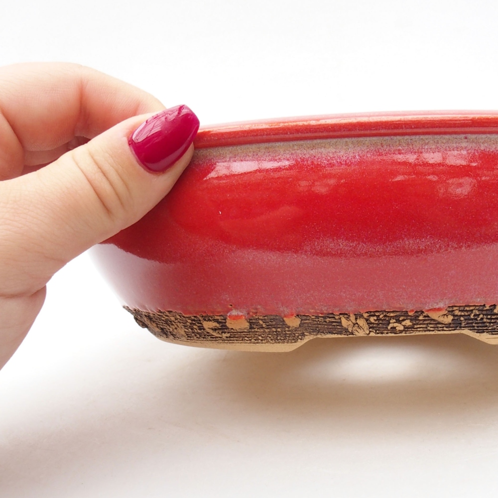 Ciotola per bonsai in ceramica 19 x 19 x 5,5 cm, colore rosso