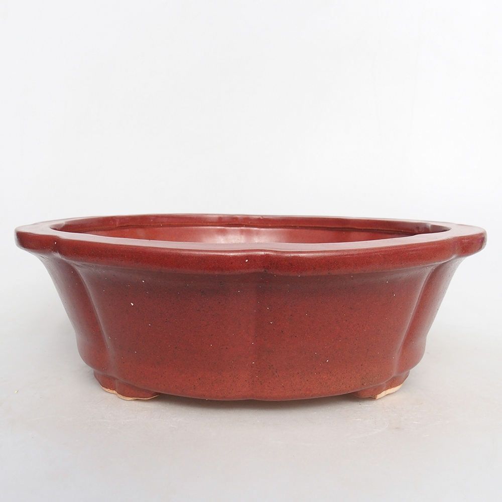 Ciotola bonsai in ceramica 26 x 26 x 8 cm, rosa