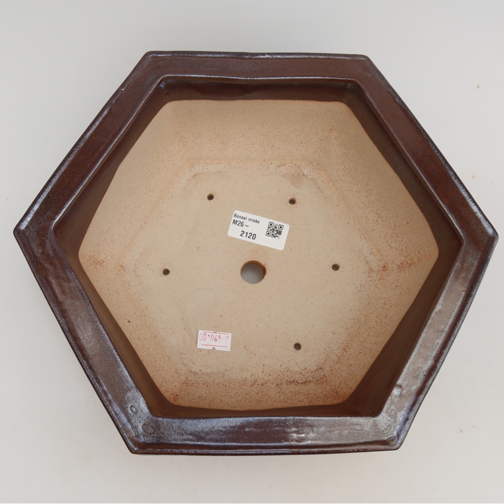 Vaso da bonsai in ceramica 28 x 24,5 x 9 cm, colore bordeaux
