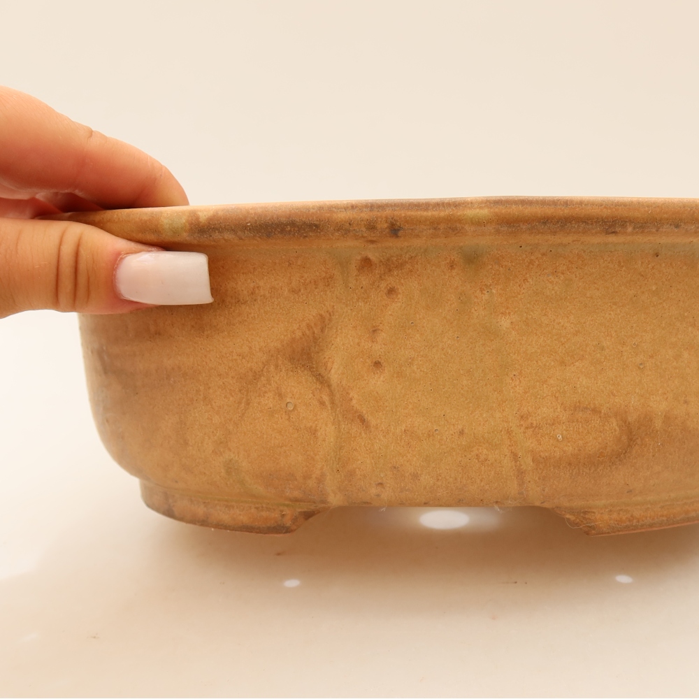Vaso da bonsai in ceramica 23 x 19 x 8 cm, colore beige