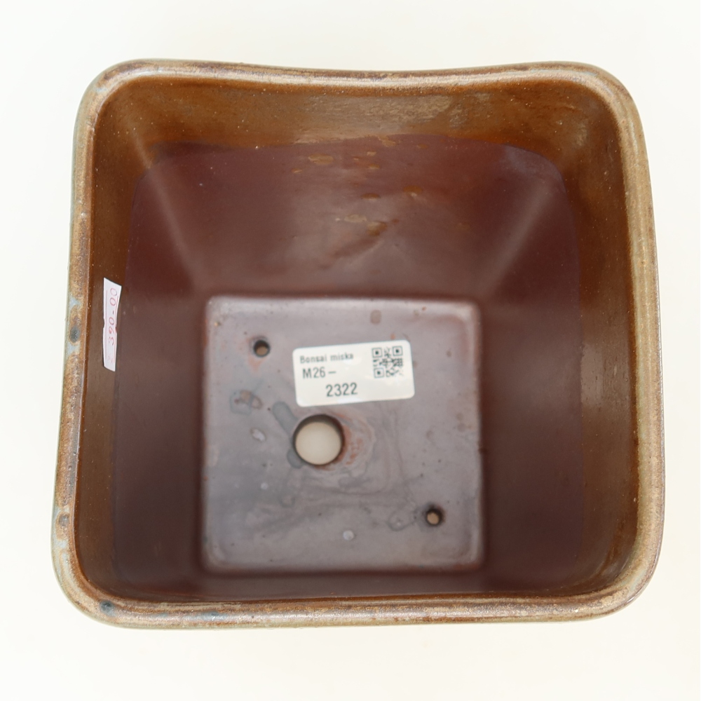 Ciotola per bonsai in ceramica 14 x 14 x 15 cm, marrone