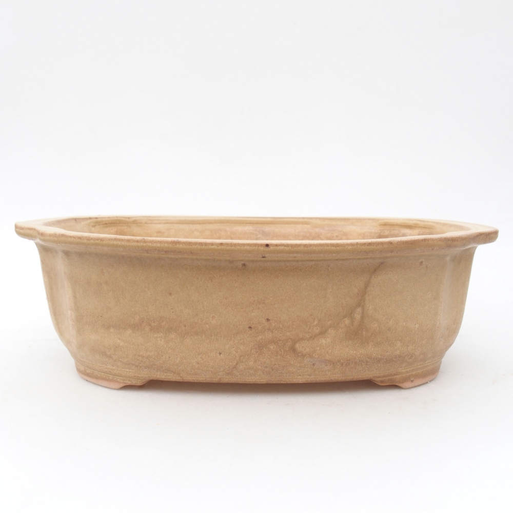 Ciotola bonsai in ceramica 25 x 21 x 7,5 cm, colore beige