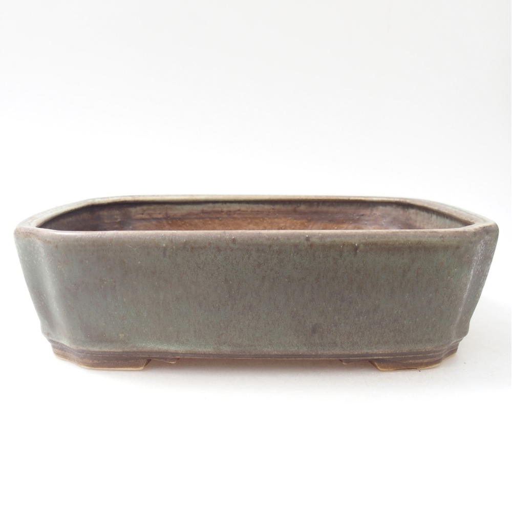 Ciotola per bonsai in ceramica 21,5 x 18 x 6 cm, colorata e annaffiata