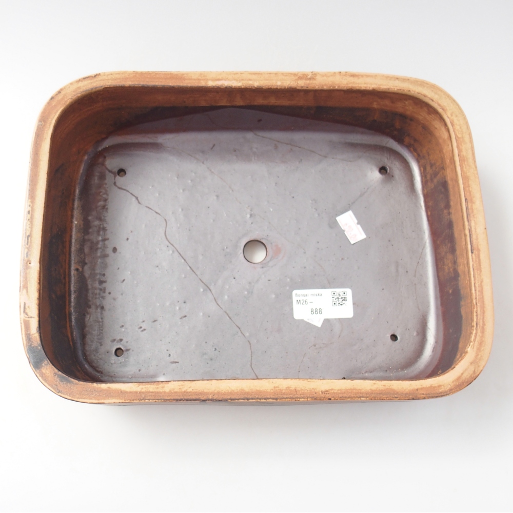 Ciotola per bonsai in ceramica 28 x 20,5 x 7,5 cm, marrone