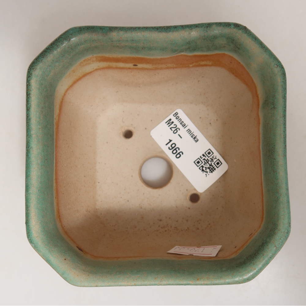Vaso in ceramica per bonsai 10 x 10 x 6,5 cm, colore verde