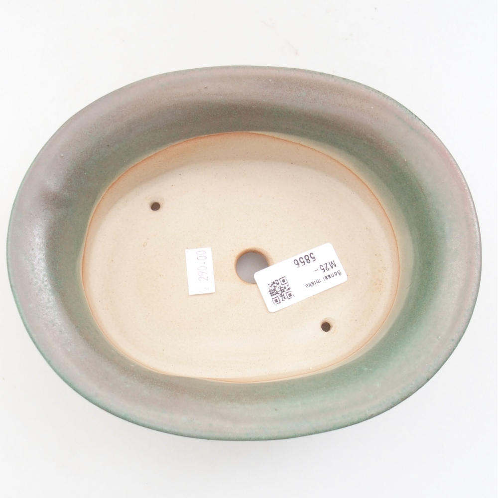 Ciotola bonsai in ceramica 22 x 17 x 5 cm, verde