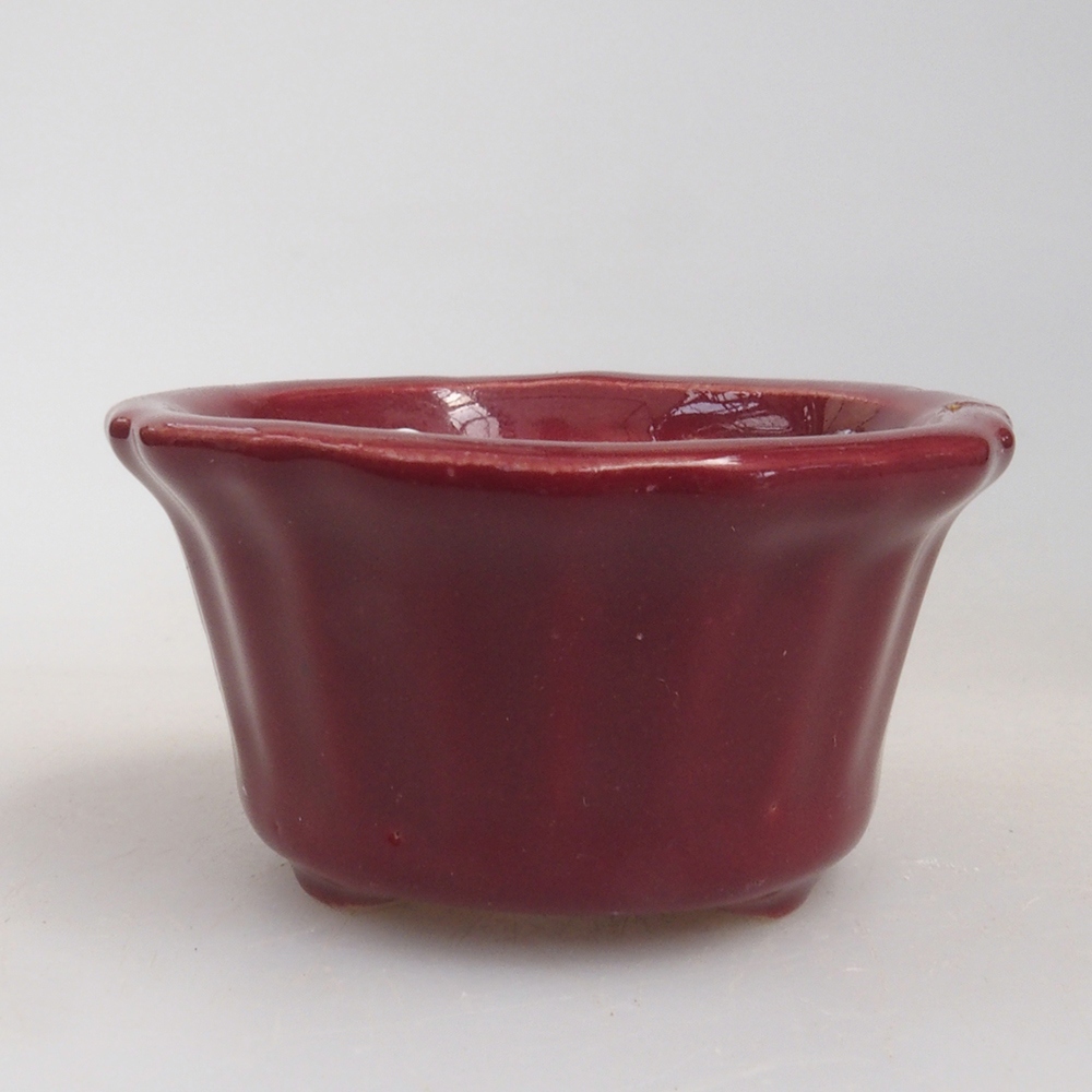 Mini bonsai 5 x 5 x 2,5 cm, colore bordeaux