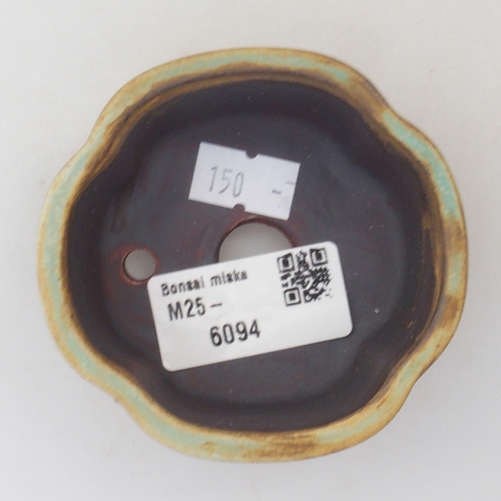Ciotola per bonsai in ceramica 10 x 8,5 x 4 cm, marrone