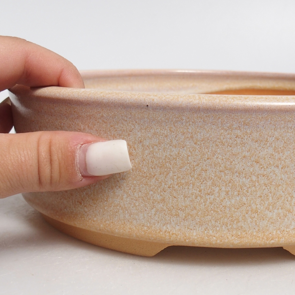 Ciotola per bonsai in ceramica 20,5 x 20,5 x 6 cm, colore beige