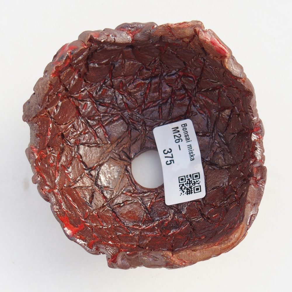 Conchiglia in ceramica 9,5 x 9,5 x 7 cm , colore marrone