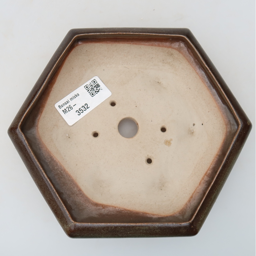 Ciotola per bonsai in ceramica 17 x 15 x 4 cm, marrone