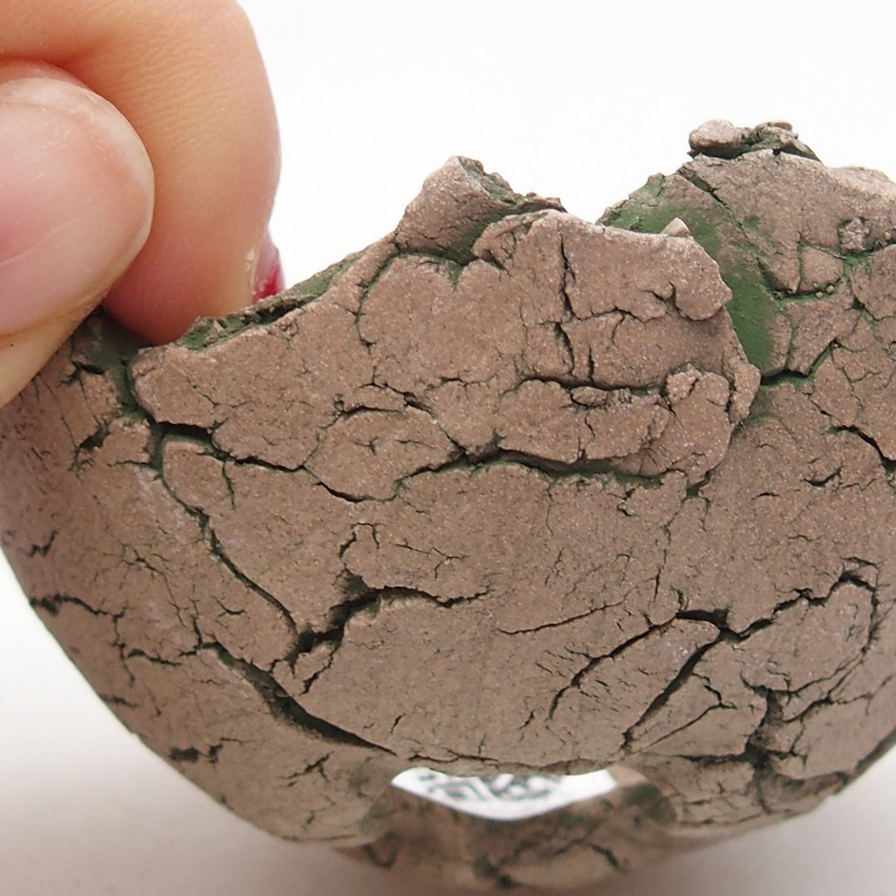 Conchiglia in ceramica 7 x 7 x 4 cm , colore verde