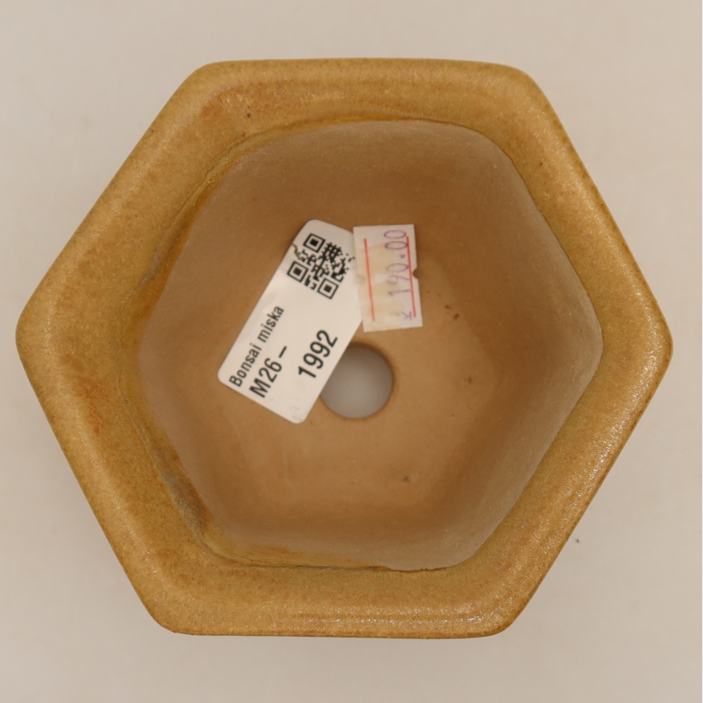 Vaso da bonsai in ceramica 10,5 x 9,5 x 5,5 cm, colore beige