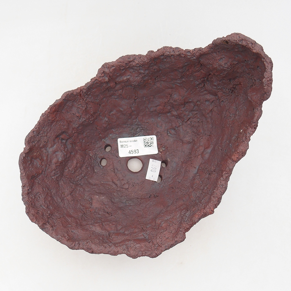 Conchiglia in ceramica 20 x 16 x 15,5 cm , colore marrone