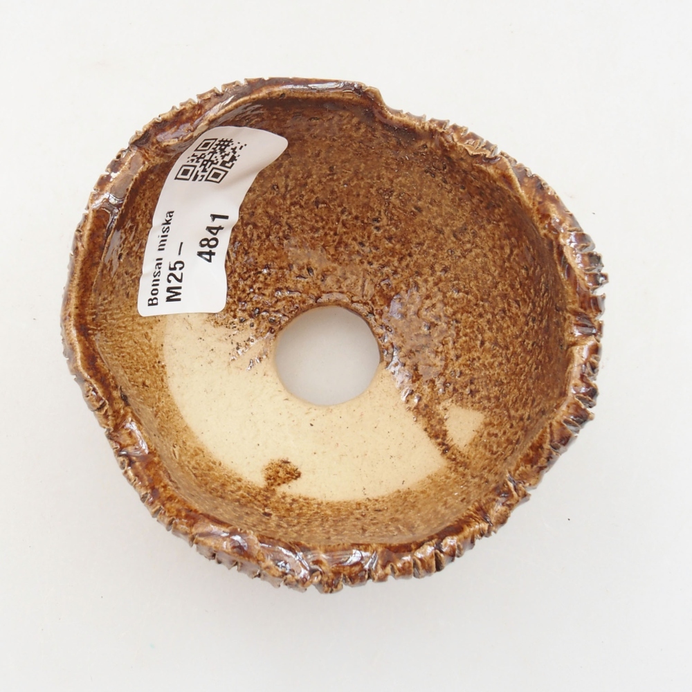 Conchiglia in ceramica 8 x 7,5 x 6 cm , colore marrone