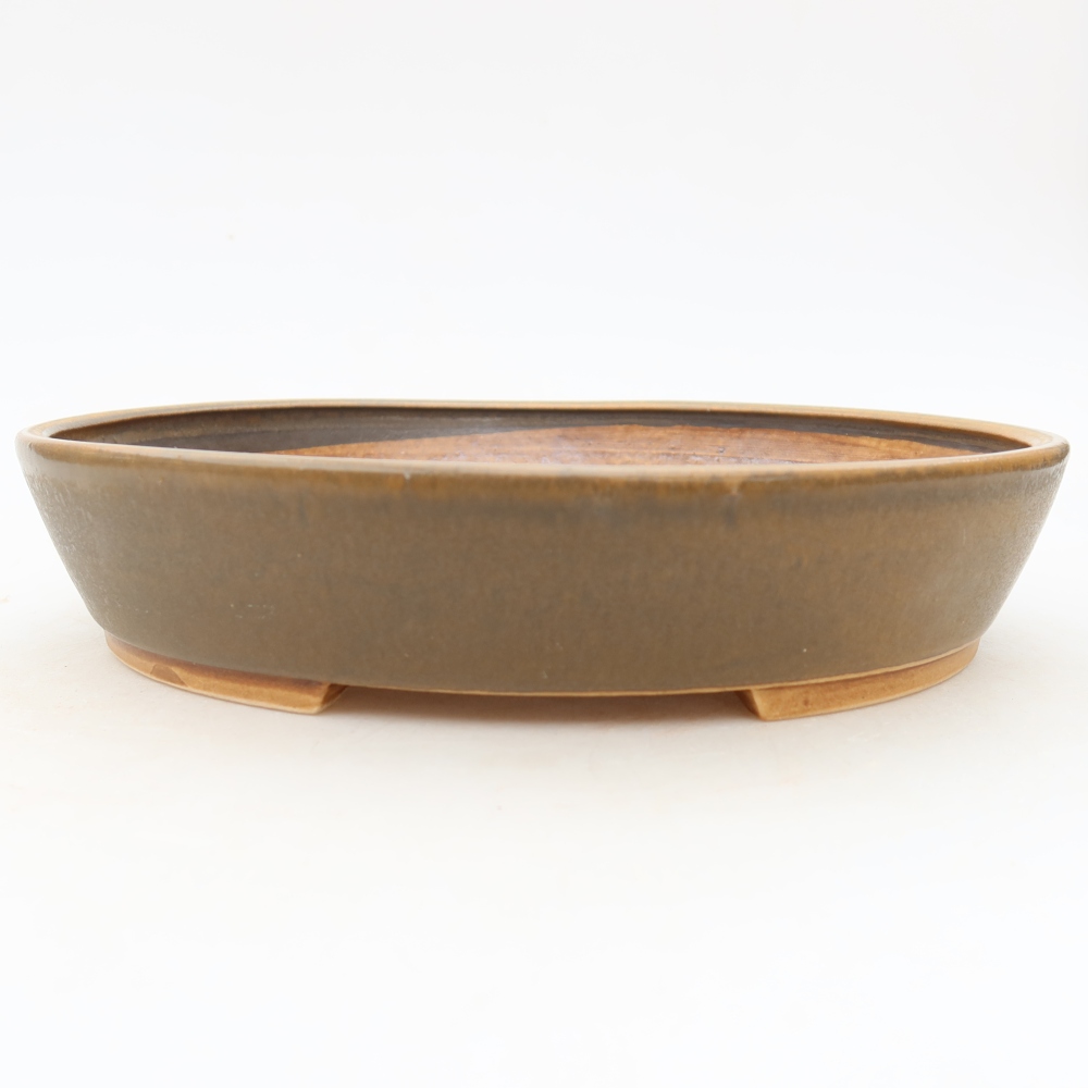 Ciotola bonsai in ceramica 21 x 19 x 4,5 cm, marrone