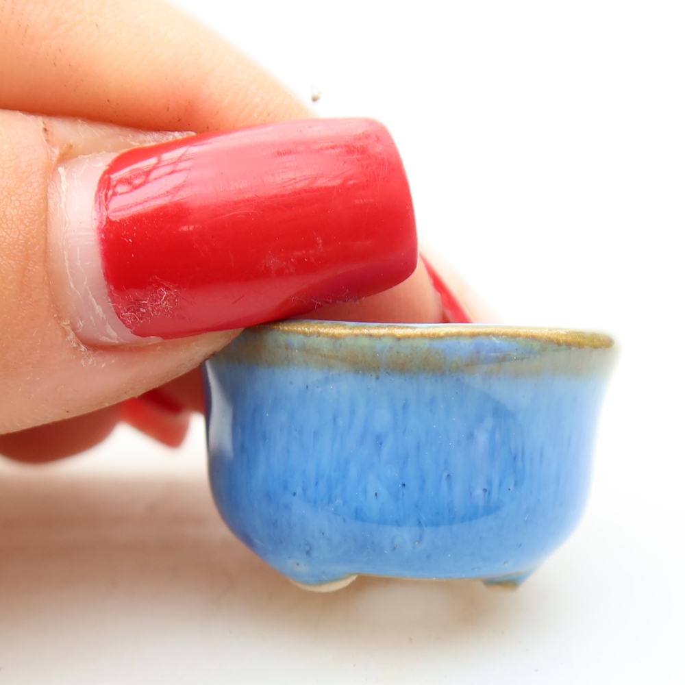 Vaso da bonsai in ceramica 2,5 x 2,5 x 2 cm, colore blu
