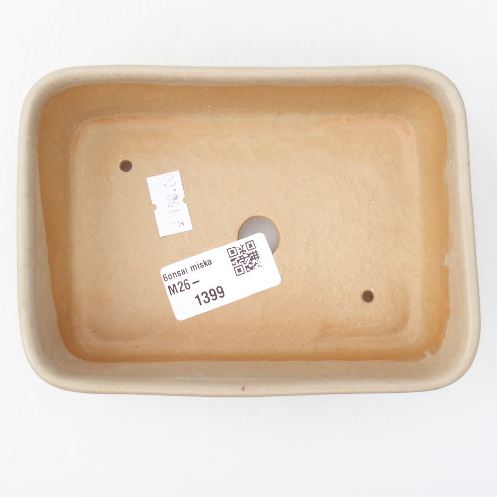 Ciotola per bonsai in ceramica 14,5 x 10,5 x 4,5 cm, colore beige