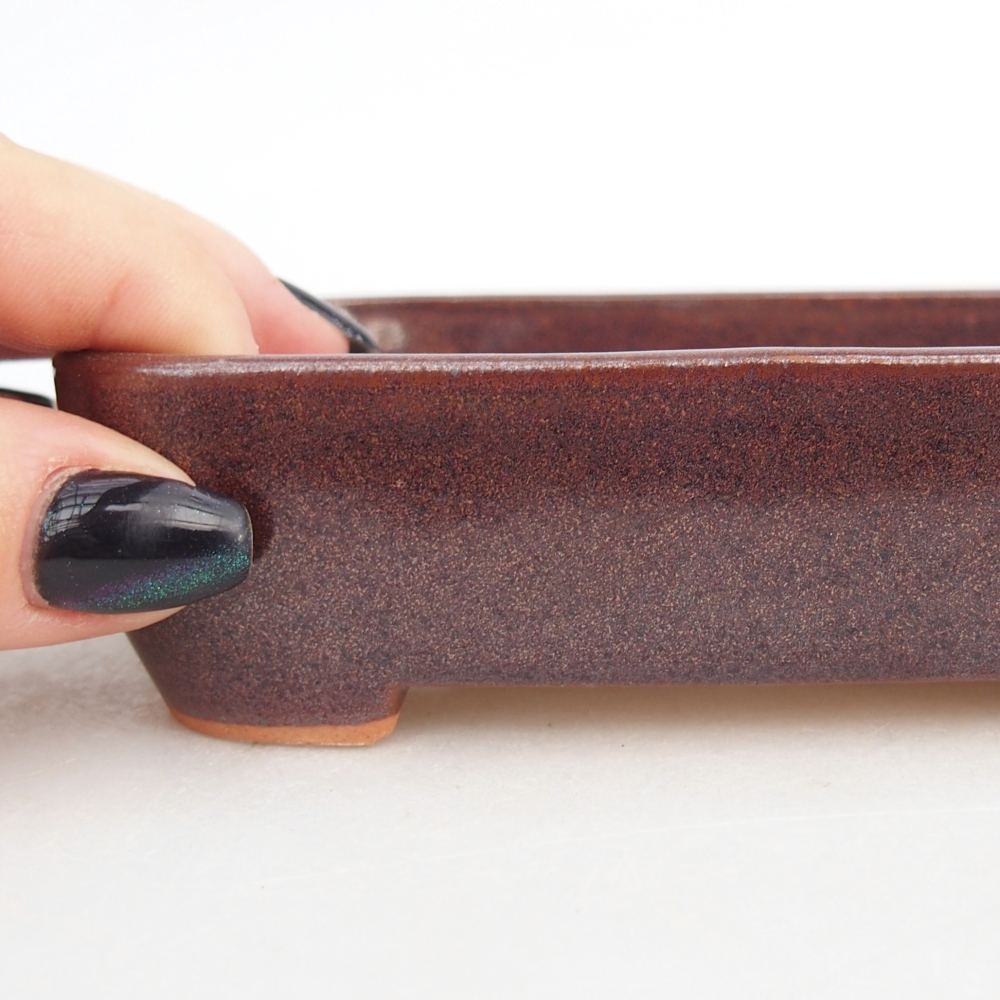 Ciotola per bonsai in ceramica 12,5 x 9,5 x 3,5 cm, marrone