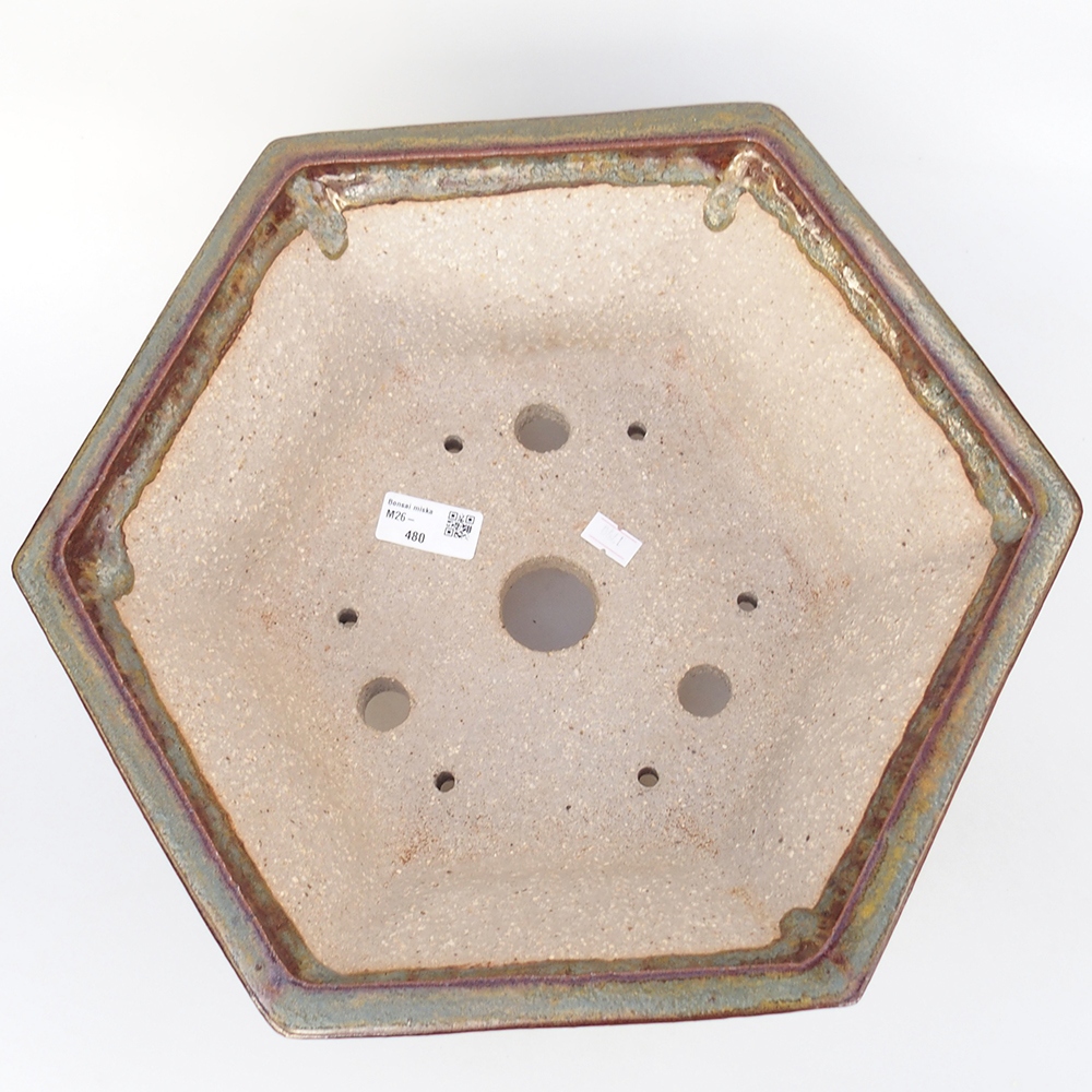 Ciotola per bonsai in ceramica 36 x 31,5 x 14 cm, marrone