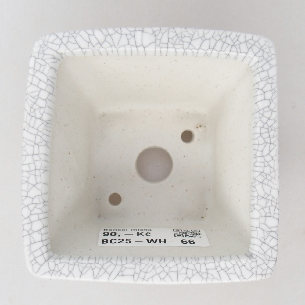 Ciotola bonsai in ceramica 8,5 x 8,5 x 5 cm, colore raku