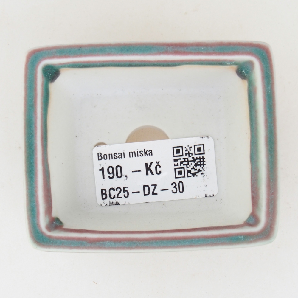 Mini bonsai 7,5 x 6 x 3 cm, verde