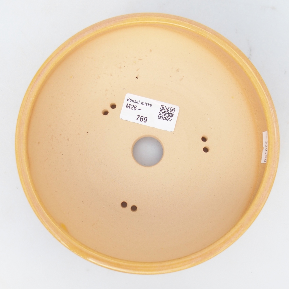 Ciotola per bonsai in ceramica 16,5 x 16,5 x 5,5 cm, colore marrone-giallo