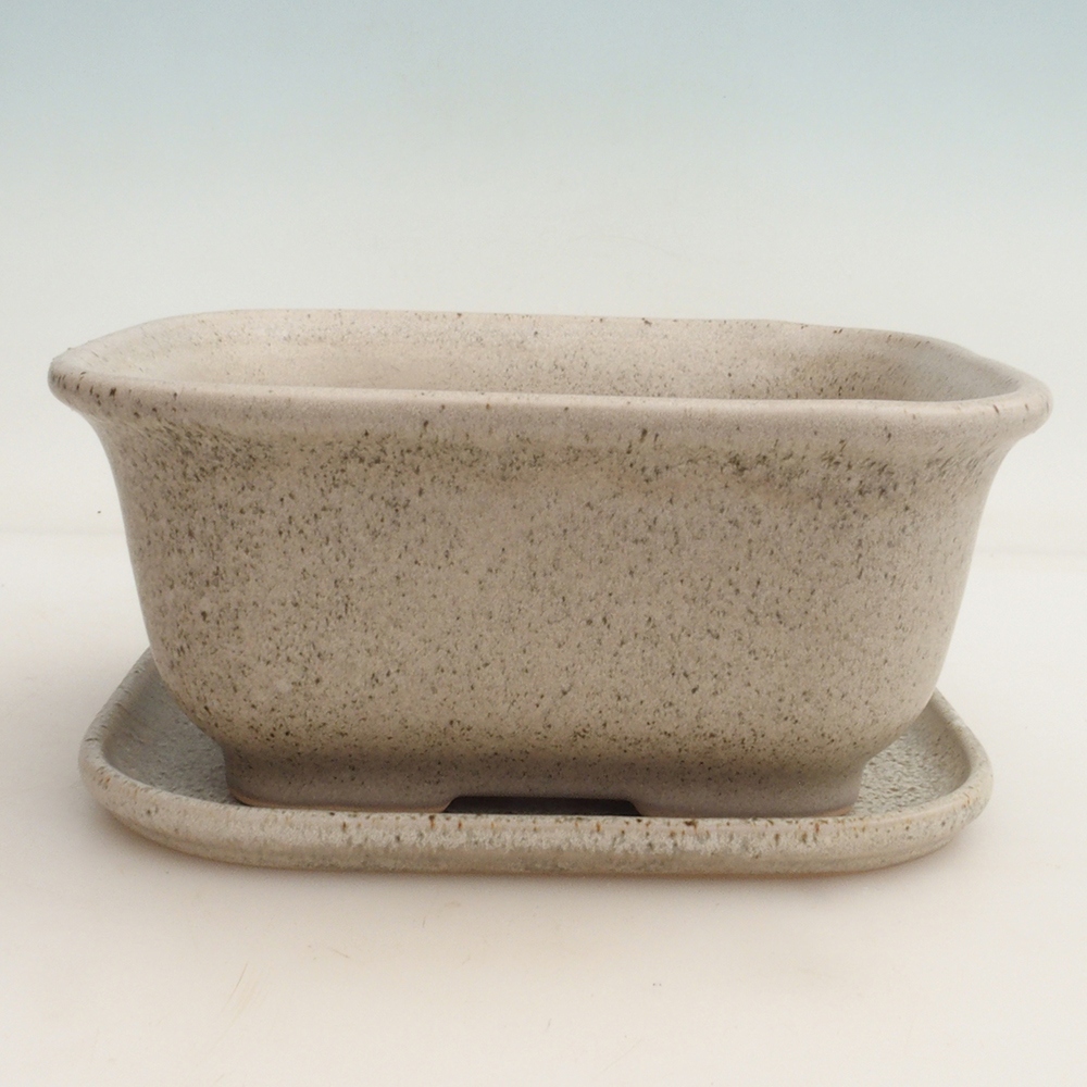 Ciotola bonsai + piattino H36 - 17 x 15 x 7,5 cm.