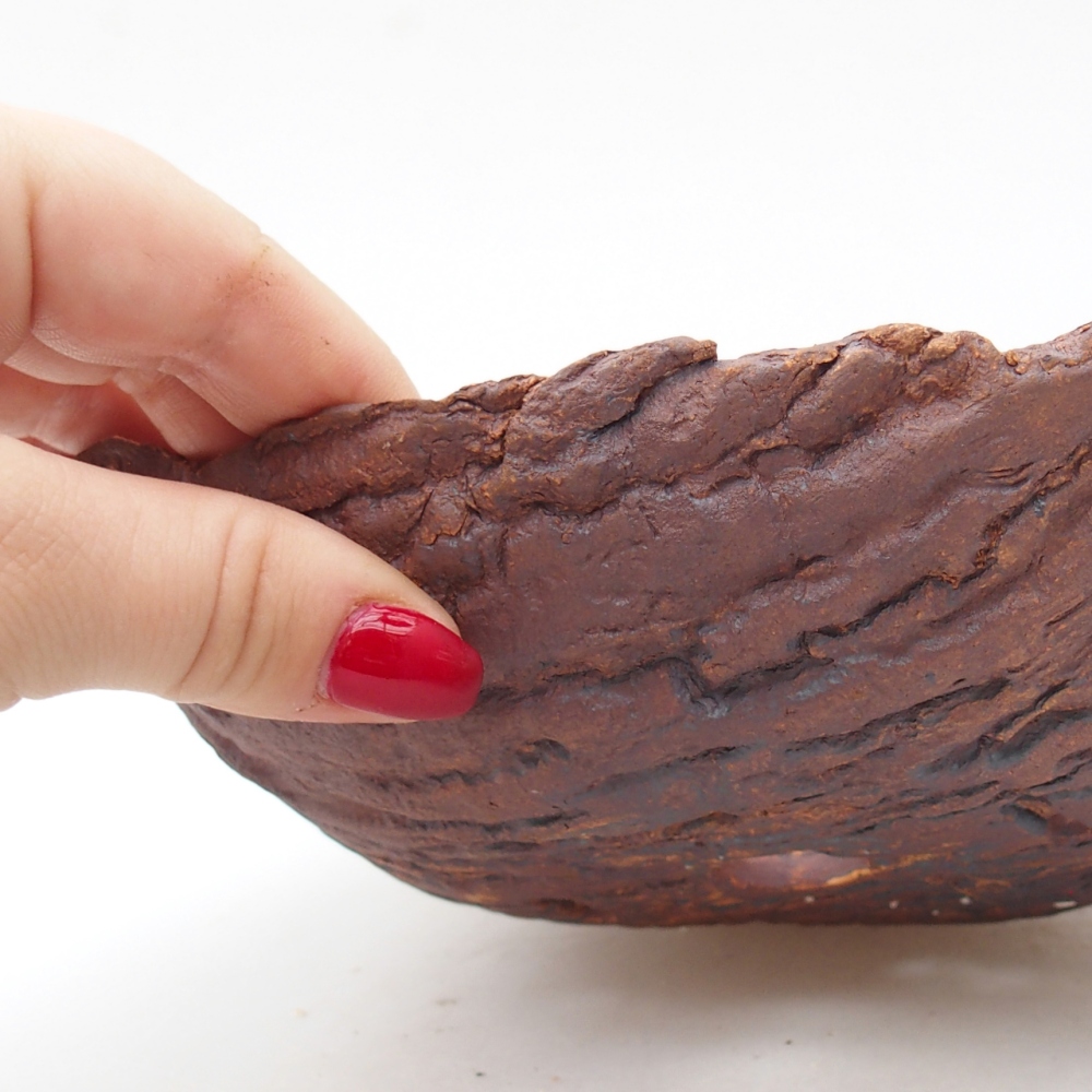 Conchiglia in ceramica 20 x 15 x 6 cm , colore marrone