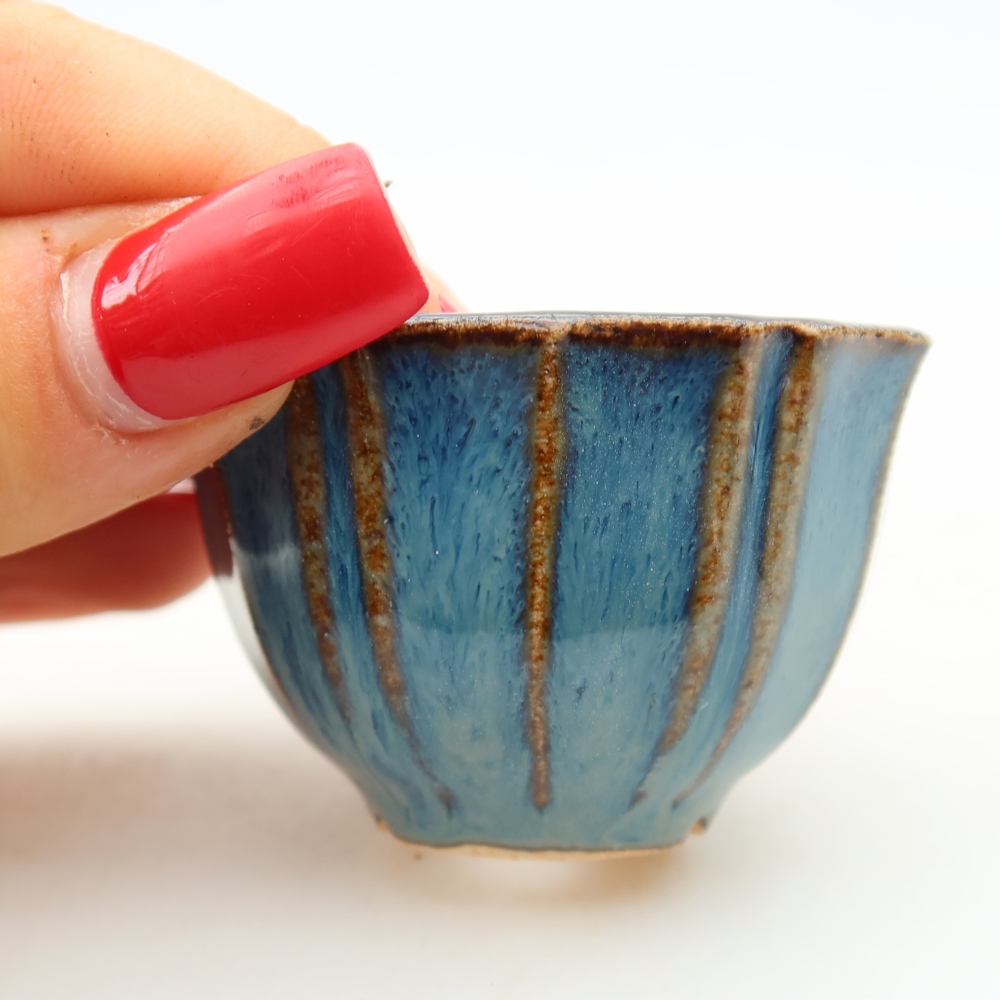 Vaso da bonsai in ceramica 5,5 x 5,5 x 3,5 cm, colore blu