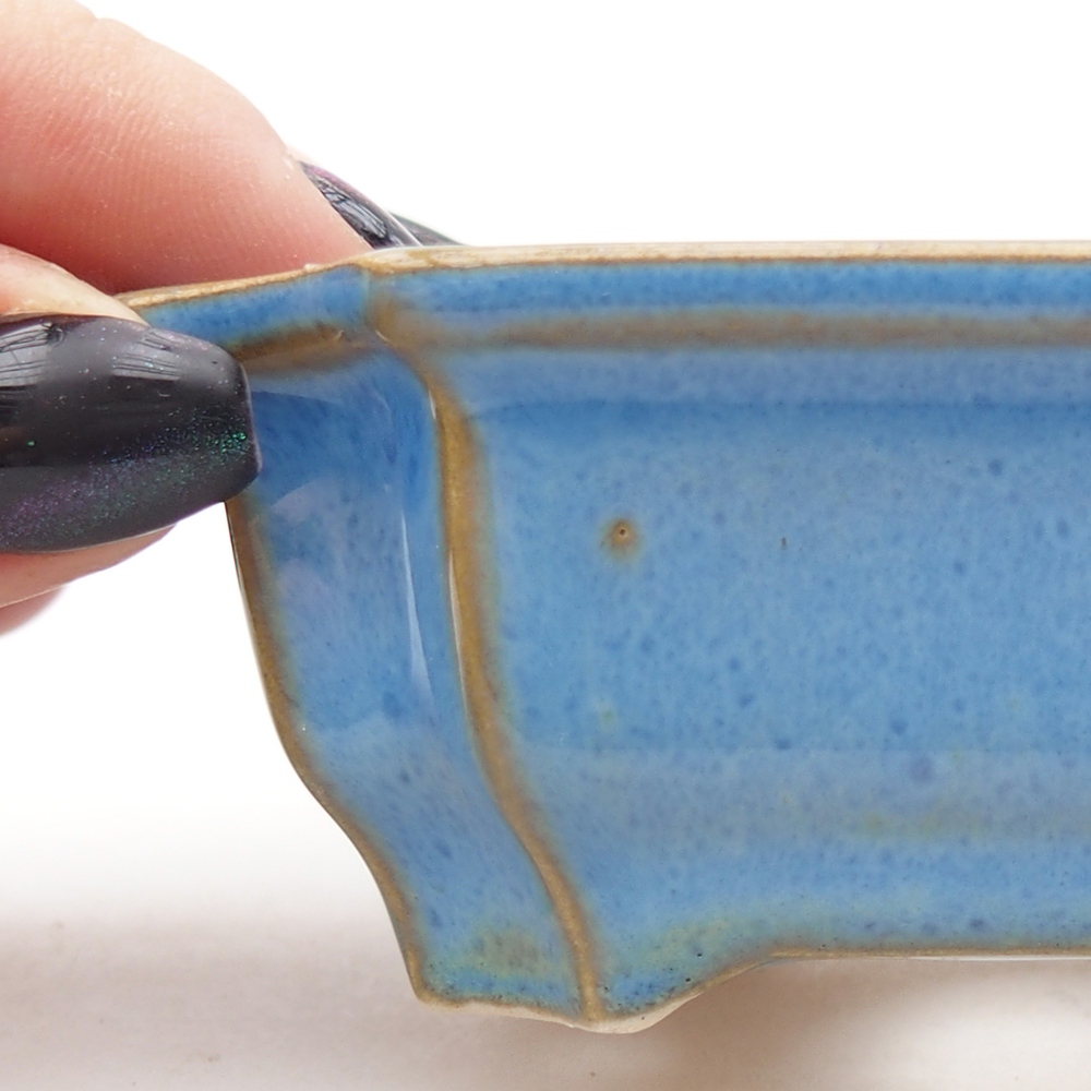 Mini bonsai 9 x 6,5 x 3,5 cm, colore blu