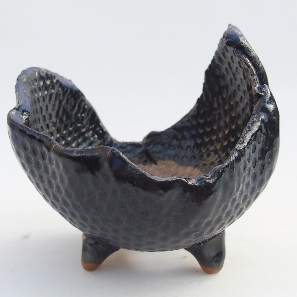 Conchiglia in ceramica 10 x 8,5 x 8,5 cm , colore blu