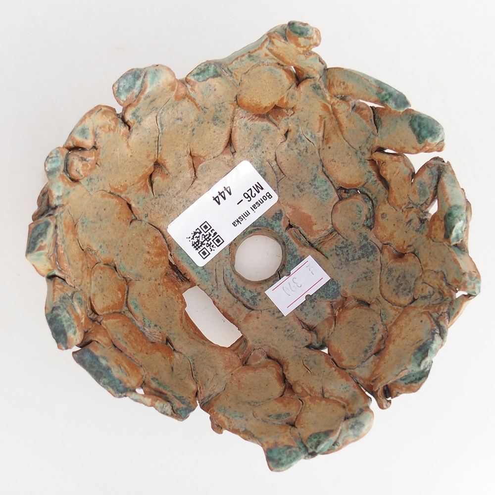 Conchiglia in ceramica 14 x 14 x 6,5 cm , colore verde