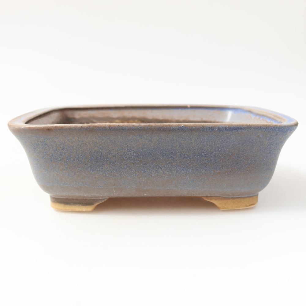 Vaso da bonsai in ceramica 15 x 13 x 4,5 cm, colore blu