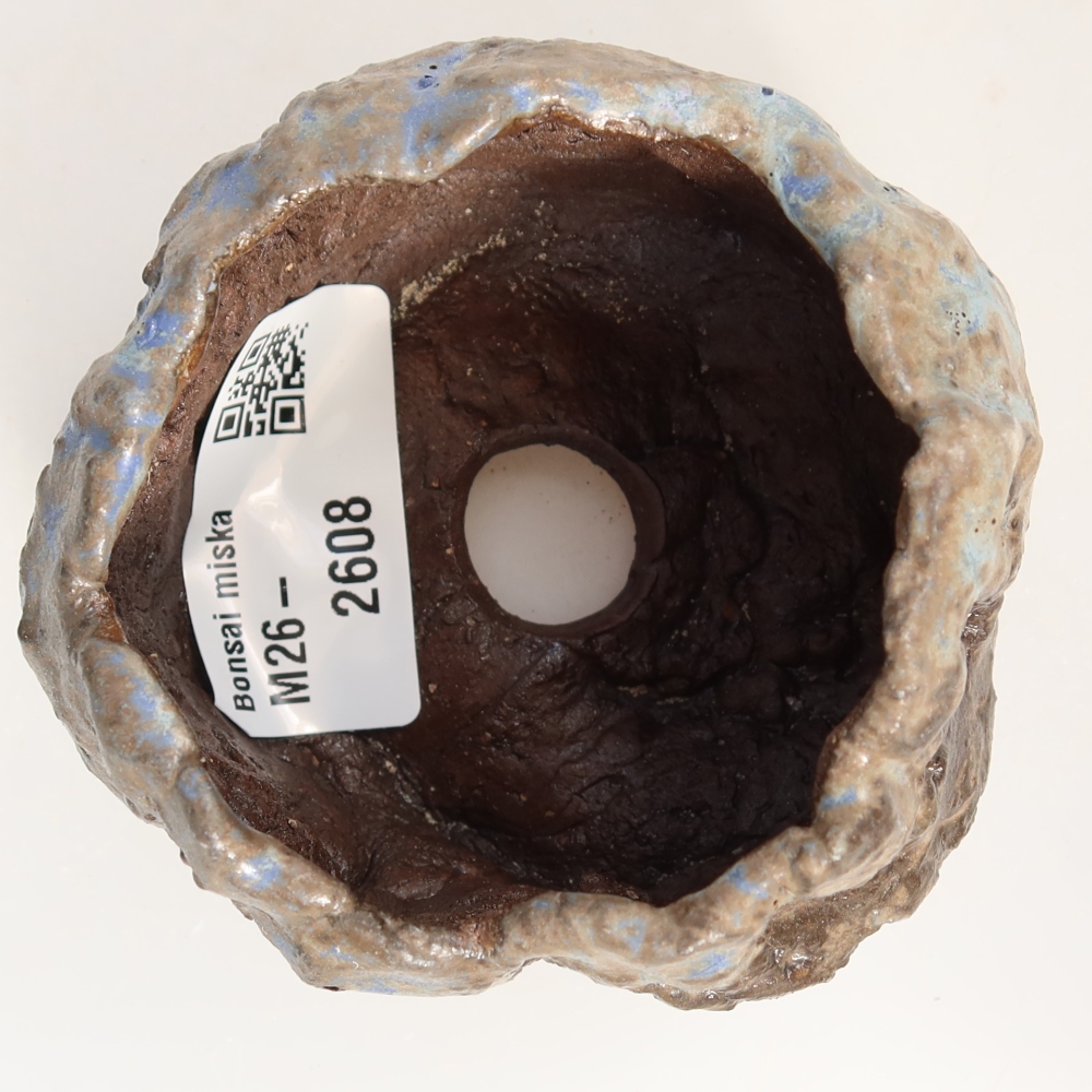 Guscio in ceramica  7 x 7 x 5 cm, colore blu-marrone