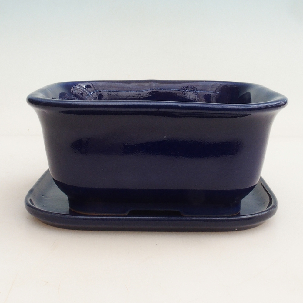 Ciotola bonsai + piattino H36 - 17 x 15 x 7,5 cm - blu