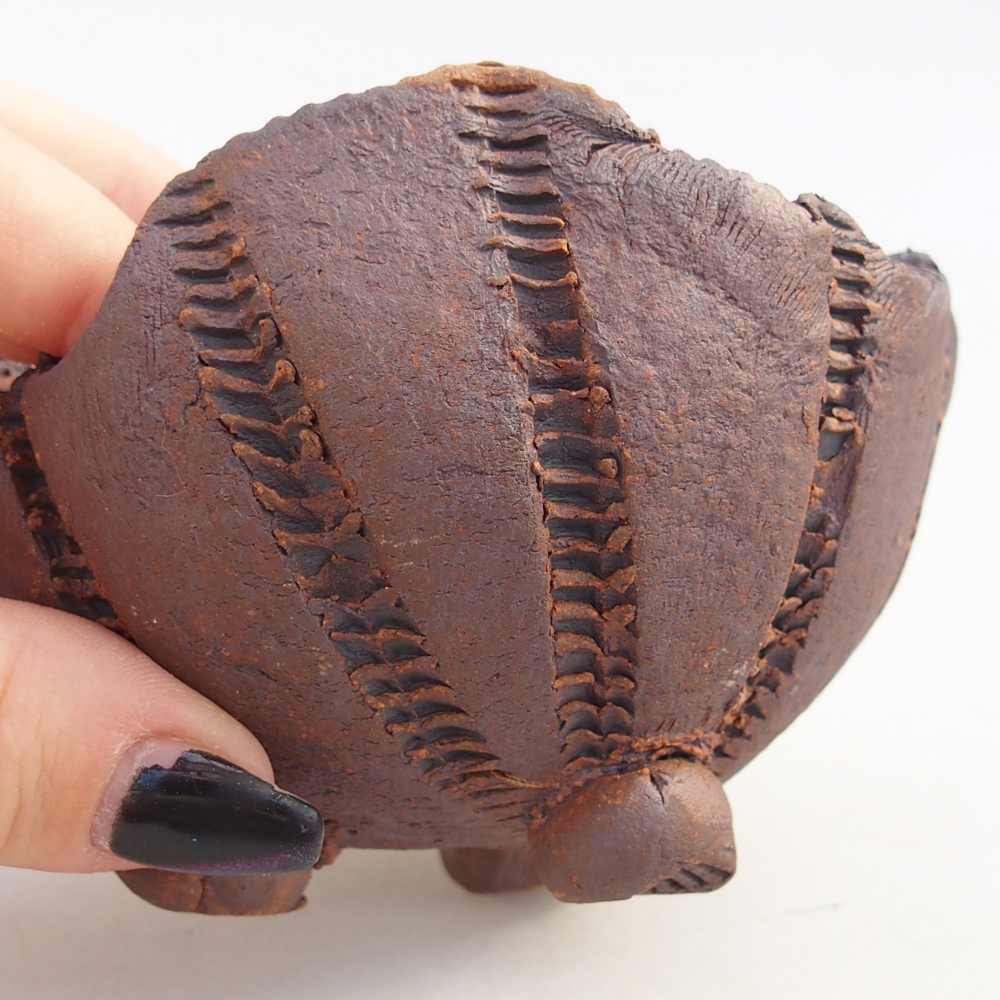 Conchiglia in ceramica 9 x 9 x 7 cm , colore marrone