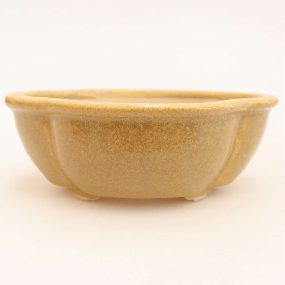 Vaso da bonsai in ceramica 12,5 x 10,5 x 4,5 cm, colore beige