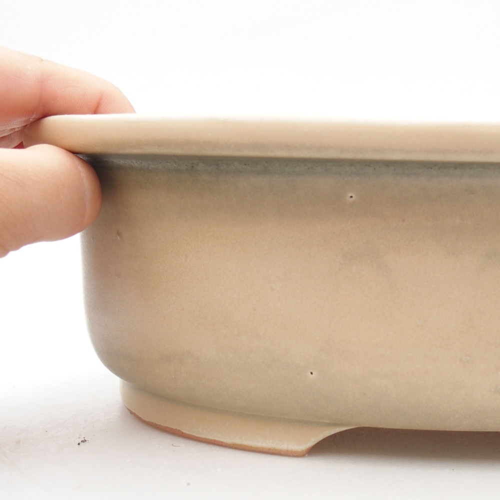 Ciotola bonsai in ceramica 26 x 22 x 8 cm, colore beige