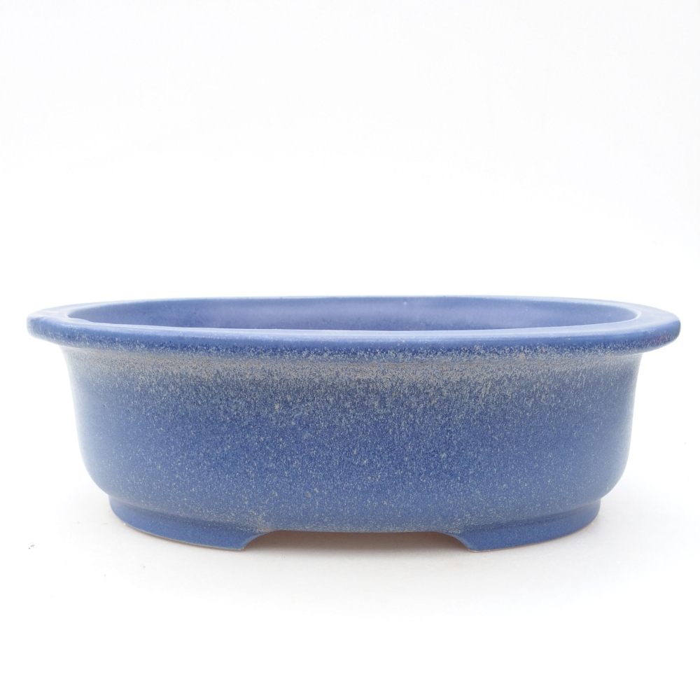 Ciotola bonsai in ceramica 26 x 22 x 8 cm, colore blu