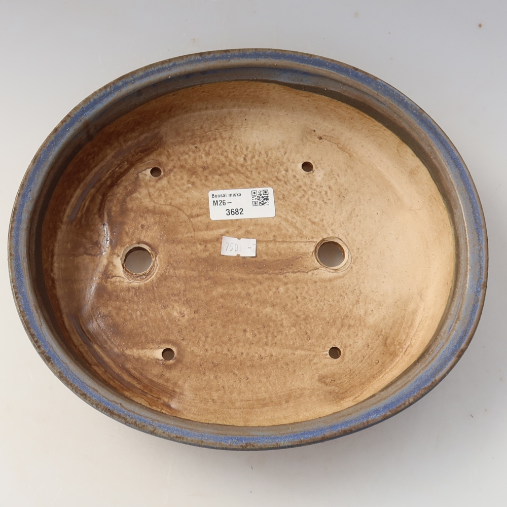 Vaso da bonsai in ceramica 26 x 24 x 6 cm, colore blu