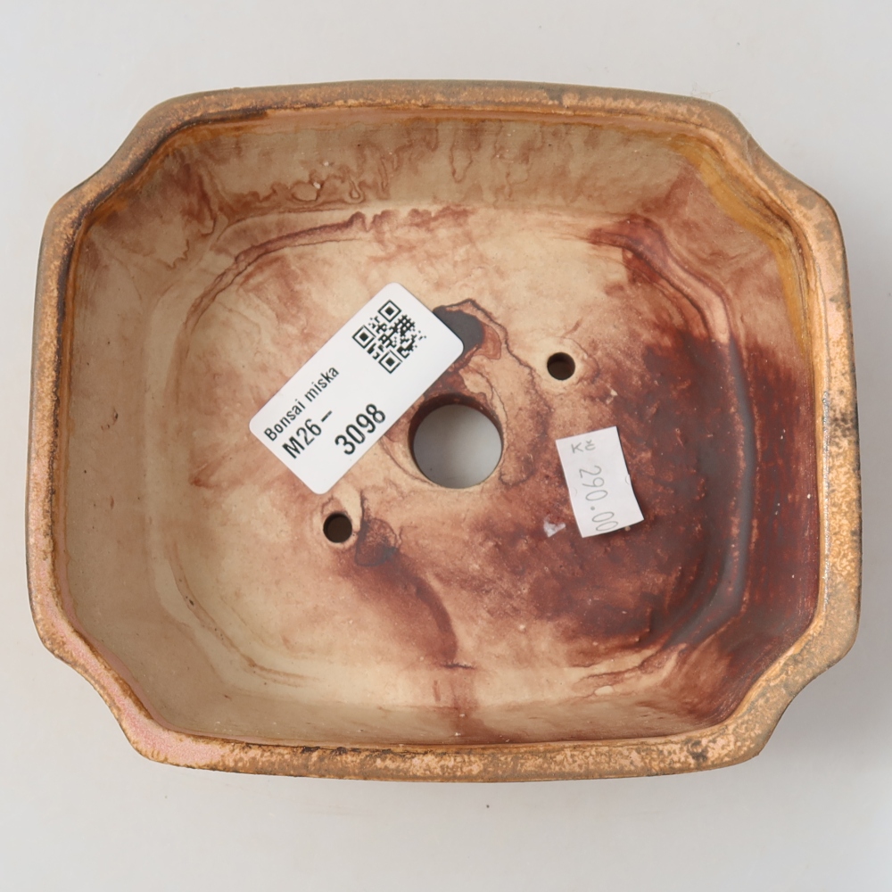 Ciotola bonsai in ceramica 14 x 11,5 x 4,5 cm, rosa