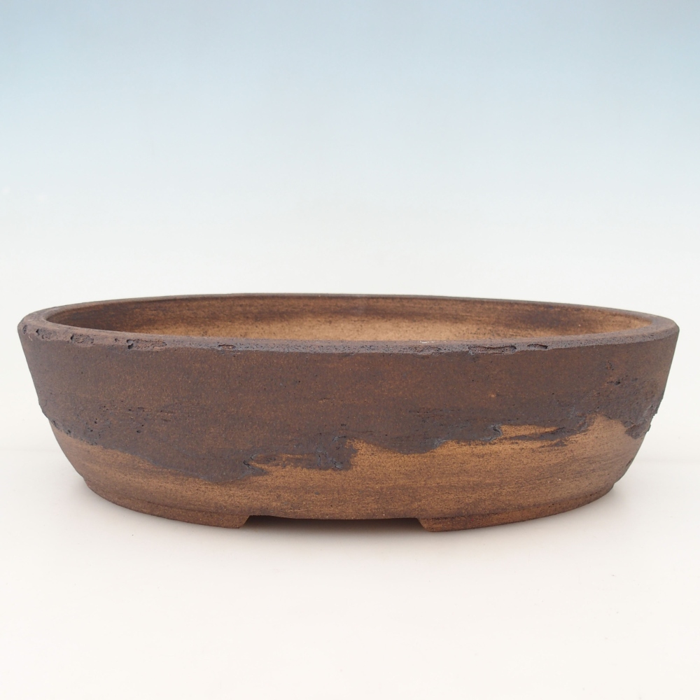 Ciotola per bonsai 33 x 25,5 x 8,5 cm , colore marrone