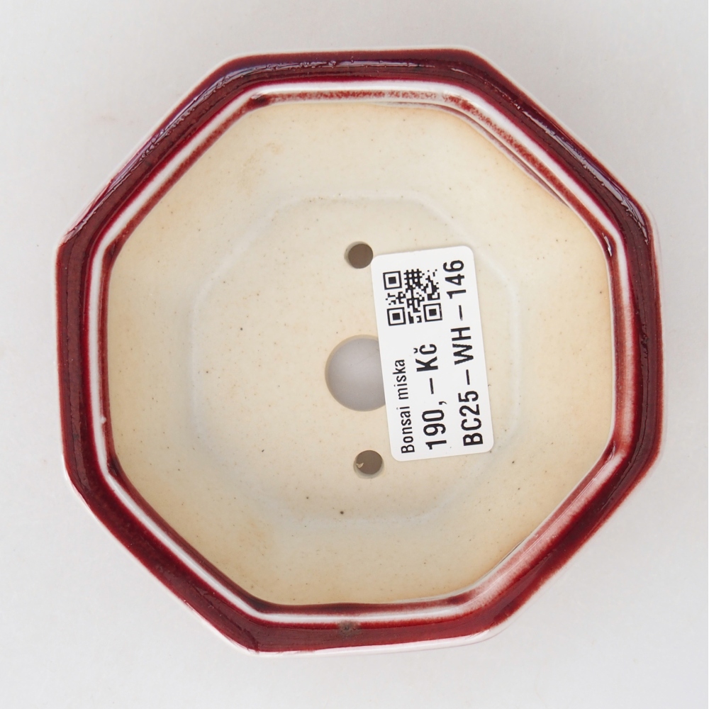 Mini bonsai 11 x 10 x 3,5 cm, colore rosso