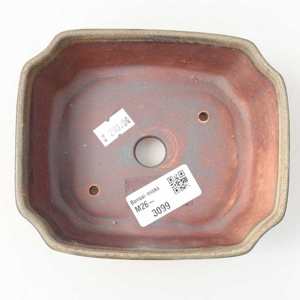 Ciotola per bonsai in ceramica 14 x 11,5 x 4,5 cm, marrone